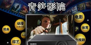 青笋网影院,探索光影世界，尽享视听盛宴